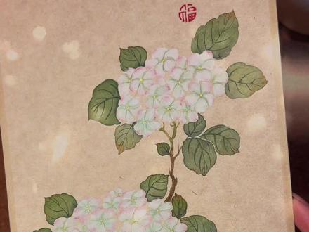 木绣球跟练教程来啦 从调颜色开始,带你画一副清新典雅的没骨木绣球!
#零基础学国画 #国画教程 #没骨画 #木绣球 #青年创作者成长计划
