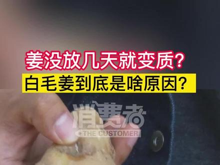 姜买来好好的,没几天变成白毛姜!是变质了还是放烂了?真相竟然是......#姜 #姜种植 #姜储存