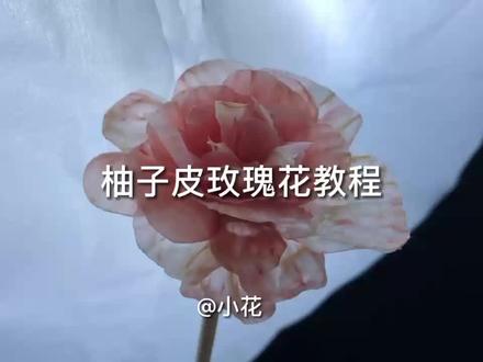 #贫民窟女孩 柚子皮玫瑰花仪式感满满,越看越喜欢嘿嘿,快来试试~#男朋友 #治愈 #开箱