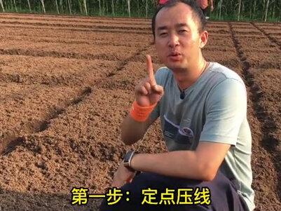 草莓起垄“神操作”之一,你有妙招吗?评论区参与交流!#抖音助农 #农业种植 #三农#种草莓 #新农人计划2021@抖音小助手