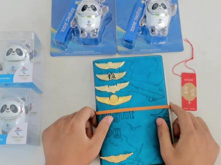 你们好奇的飞行日志,它来了!