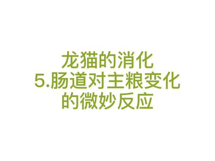 #龙猫 #龙猫日常 #龙猫粮 #马祖瑞 肠道对主粮变化的微妙反应
