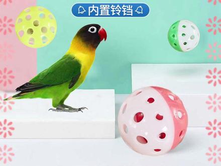 便宜又好玩的铃铛球来了 #鹦鹉玩具 #鹦鹉解闷玩具 #鹦鹉用品 #萌宠好物