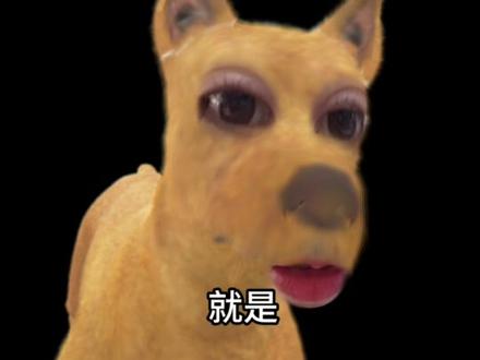 #良子 #大胃袋 #大胃袋良子 #减肥 #健身