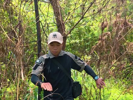 探秘西南:科普暴龙眼镜王蛇 #科普 #户外 #预告