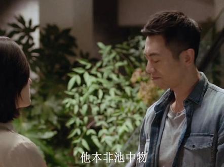 慕晚晴终于恢复记忆认出刘青,刘青:终于等到你#好剧推荐 #一定要看到最后 @DOU+小助手