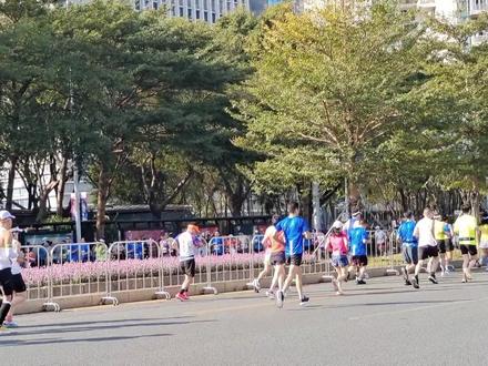 2023年深圳南山半程马拉松21.0975公里,16000名参赛者,最快那一个8:41就从南头古城跑过去了,还有80岁的叔叔佩服#比赛现场 #马拉松 #保持热爱奔赴山海 #半马
