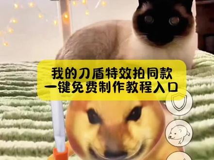 今天教大家做,我的刀盾特效拍同款教程,还有小姐妹不会拍,猫感知特效视频看过来#猫咪感应刀盾 #猫咪感应刀盾特效教程 #我的刀盾 #我的刀盾特效教程 #剪映 猫感知刀盾 猫感知特效 猫感知刀盾测试 猫感知刀盾科学解释 猫感知特效猫感知刀盾特效 猫感知刀盾 猫感知刀盾视频 猫感知刀盾游戏 猫感知刀盾小猫 猫感知刀盾科学解释 猫感知刀盾测试 猫感知刀盾使用教程猫感知刀盾原理 我的刀盾特效猫咪感应刀盾特效 猫感知刀盾科学解释 猫感知刀盾视频 刀盾狗 我家那一身反骨的猫咪 刀盾特效怎么使用 猫咪动画片 猫感知刀盾特效素材猫感知刀盾特效是为什么 猫感知刀盾特效视频 熊大特效 猫感知刀盾特效玩具 猫感知刀盾特效获取方法 猫感知刀盾特效制作教程 我的刀盾特效 猫咪感应刀盾特效 弓箭特效 刀盾特效拍同款 我的刀盾vr特效入口 猫感知刀盾科学解释 毛孩子我的刀盾感应力 猫感知刀盾 猫看见刀盾特效 猫能察觉我的刀盾 猫感知刀盾游戏 猫感知刀盾特效视频 猫感知隐身特效 猫感知刀盾的科学实验 猫感知刀盾怎么获得 猫如何感知刀盾 猫咪感知刀盾狗实验 猫感知特效制作教程 猫如何感知刀盾 猫感知刀盾特效视频 猫感知隐身特效 猫感知地震 宠物猫感应刀盾使用技巧 猫咪感知刀盾狗实验 猫反应刀盾 刀盾狗特效 刀盾特效怎么拍 猫感知刀盾原视频在哪看 猫咪感应刀盾特效 猫咪感知刀盾狗实验 猫感知刀盾科学解释 我的刀盾音效我的刀盾特效 我的刀盾歌曲 我的刀盾特效拍同款 我的刀盾特效拍同款AI视频 我的刀盾特效拍同款怎么弄 我的刀盾特效在哪里找 我的刀盾特效打人 我的刀盾特效拍同款猜 我的刀盾特效拍同款小狗特效 立体我的刀盾特效拍同款