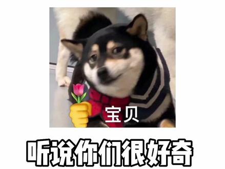 女怎么标记男O?
#啵啵酱科普 #alpha #ABO