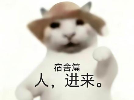 重庆科创职业学院1400元宿舍实拍来啦! 独立卫浴,空调,洗衣机,阳台全都有,六人间性价比首选!#重庆科创职业学院 #科创大军 #大学宿舍 #新生报到 #重庆大学生