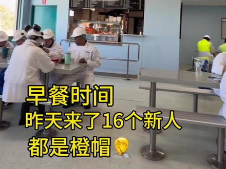 好羡慕他们的生活态度和状态,粉帽的老婆有60多岁了,心态多好啊,昨天又来了16个新人,厂子好热闹#澳洲#澳洲肉厂#澳洲移民#移民#海外生活