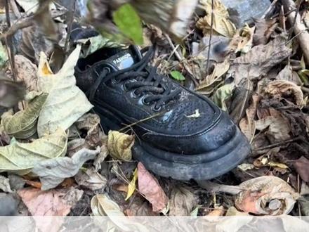 29岁男子南太行失联第43天,遗体被徒步爱好者“野马”找到, 男子父亲跪地磕头感谢#大河报河南 #野马 #徒步 #南太行 (编辑:晓晓)