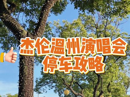 结论温州演唱会当天停车攻略 #周杰伦演唱会#周杰伦温州站#周杰伦蜗牛