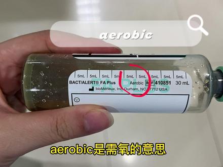 你是怎么快速区分血培养瓶的呢,评论区告诉我吧#护士懂护士 #实习护士 #留置针 #护士日常 #学医的女孩子