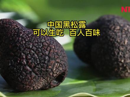 中国黑松露,可以生吃,百人百味!#松露 @三农帮 #三农 #致富 #味道 #高端食材 #创业 #乡村振兴 #涨知识 #黑科技 #乡村生活