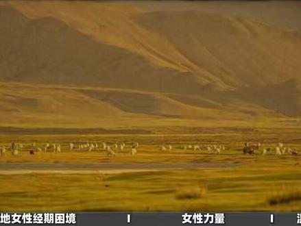 那些曾被隐藏的女性困境,正在被一份份善意化解,女性之间的互助,也仍在不同的角落延续 #梅婷 #生命树 #生命树杨紫守护高原绝境 #女性力量 #影娱热点团