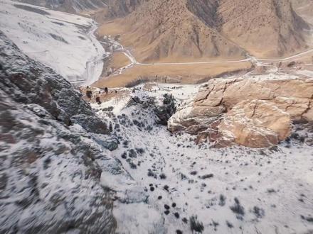 我循着这棵《生命树》,来到了德令哈#杨紫#胡歌#跟着生命树游德令哈#今夜我在德令哈#鸿蒙智行冬日奇驭智旅