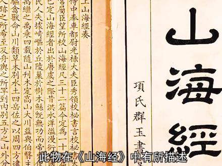 淫龙锦鳞蚺,想想都怕怕 #影视连载计划 #宅家dou剧场