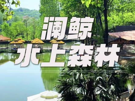 走!绿野仙踪!澜鲸水上森林餐厅新店开业,也太美了吧~#网红打卡地 #夏季游玩好去处 #露营地 #夏日露营地推荐 #五一去哪儿