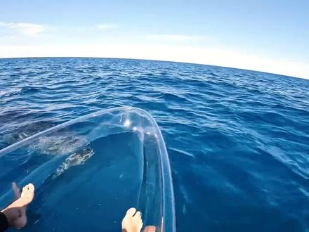 #潜水捕鱼 #渔猎 透明小船下的惊天巨型生物,真吓人#自由潜渔猎