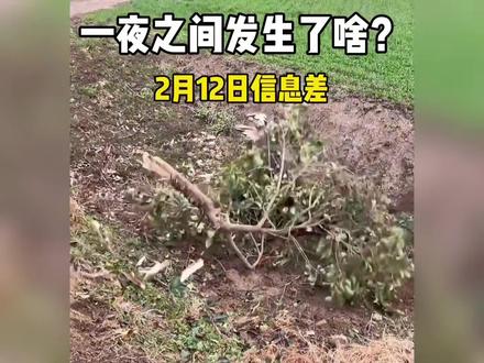 2月12日社会热点信息差#社会百态真实事件