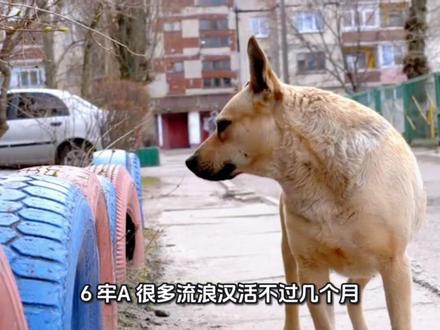 有人出来辟谣牢A了#牢A #史莱姆 #斩杀线