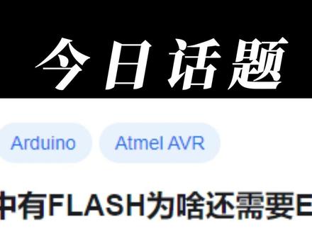 单片机中有FLASH为啥还需要EEROM?