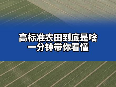 #高标准农田 到底是啥?一分钟带你看懂!