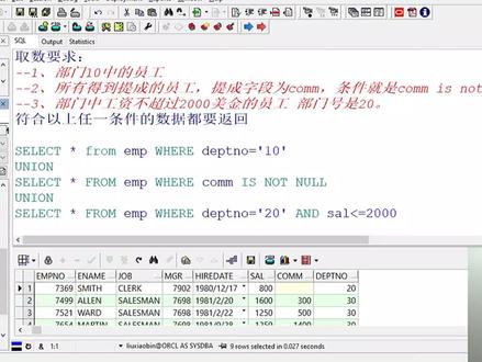1分钟学SQL之查找满足条件的行 #编程入门 #学习 #数据库 #SQL