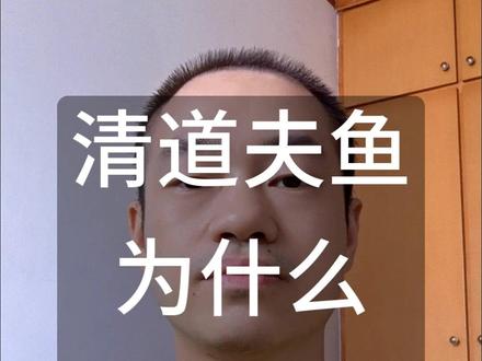 清道夫鱼为什么不能吃? #清道夫鱼 #为什么