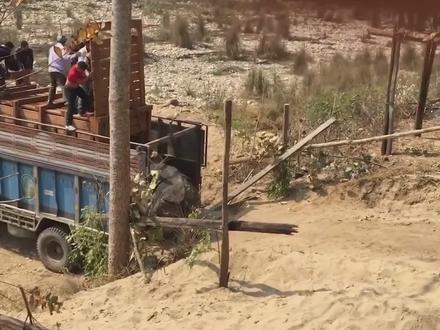 人们放生犀牛,只因“一个举动”将犀牛惹毛,惨遭犀牛疯狂报复!