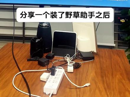 11AA里哪些应用值得装? #野草助手 #智能电视 #数码科技 #电视机