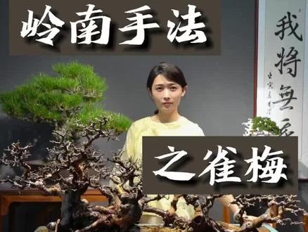 #雀梅#雀梅盆景#岭南手法#盆景#盆景艺术 最后我都被他折服了,视频中间有口诀可以学!