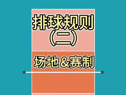 第三期:排球规则 场地和赛制#排球 #业余排球