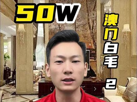 澳门白毛 2 #澳门 #澳门旅游