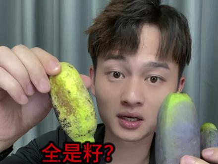 认识这个水果的不超过三个人? #测评 #八月瓜
