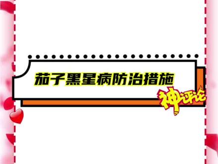 茄子黑星病(黄萎病)防治措施办法#茄子 #黑星病 #黄萎病 #每天学习一点点