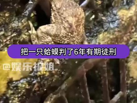 十年寿命,让人家坐牢六年#蛤蟆 #万万没想到 #搞笑 #抽象