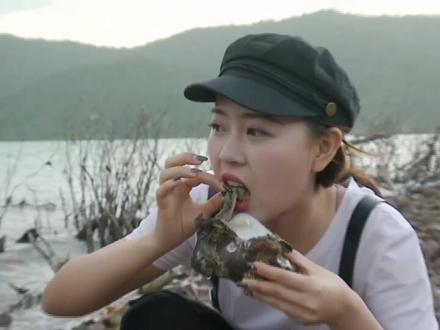 悠游澳洲,在艾利海滩捡生蚝,农庄烤袋鼠