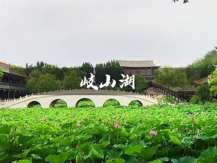 河北省最值得推荐的江南园林,依山傍水,柳绿花红#岐山湖有多精彩 #旅行推荐官 #旅游攻略