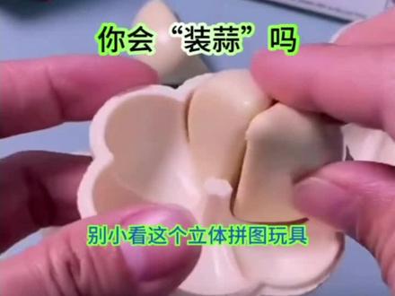 动起手来,动起脑,装好这个立体拼图蒜,再教教我@DOU+小助手 #创作灵感 #儿童玩具 #玩个很新的东西 #好物推荐🔥 #装蒜的时候到了