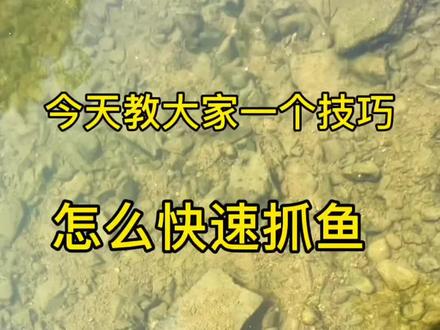 #溪流钓 #放流 #放生 我是认真的#户外钓鱼 #溪流钓斌哥