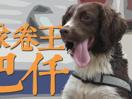 警队“卷王” 搜血犬巴仟「上集」 #搜血犬 #警犬