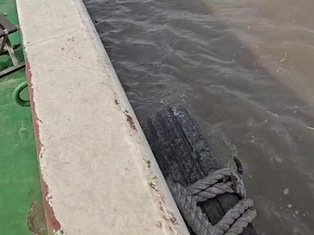 看看盘锦渔民看见斑海豹是怎样的情形 短短一段视频和画外音,表明了盘锦渔民对斑海豹的熟悉和爱怜,人豹双方都很松弛,#斑海豹救助 @野生救援WildAid @WWF世界自然基金会 @一个地球自然基金会 @中国海洋大学 @奚志农 @抖音创作小助手