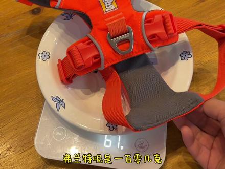 26年的拉夫新品胸背来啦你们觉得哪个颜色好看 每一次拉夫威尔出胸背都要给孩子们安排!!#拆箱 #狗 #小动物们能有多治愈
