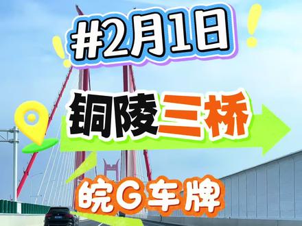 #2026年2月第一天 #铜陵长江公铁大桥 #铜陵大桥免费 #铜陵 #皖G 带大家看看未装etc过桥是否免费?