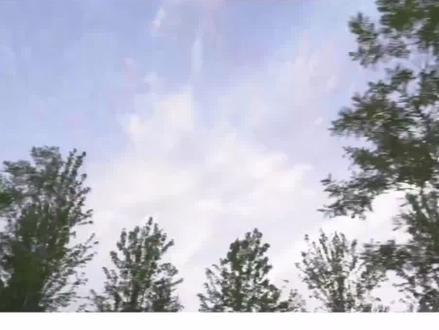 大半夜被走错登机口差点没赶上飞机的李宇春笑清醒,她真的太可爱了,台上台下反差是真大,话说生日当天我们能有vlog吧#李宇春 #米兰时装周 #音乐 #明星 #人间小可爱