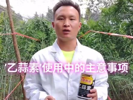 乙蒜素在使用过程中的注意事项#农业种植 #药材种植 #黄精种植 #了解种植技术点红心关注