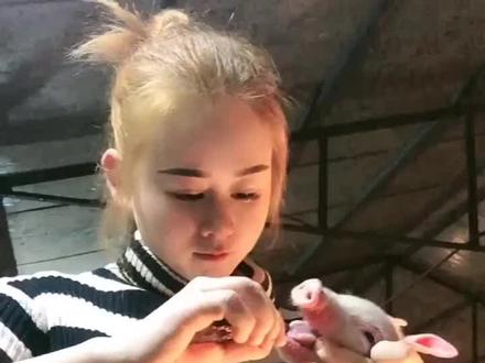 明人不说暗话,我喜欢你,就爱给你剪牙断尾#小猪剪牙 晚痛不如早痛,作为一个猪这是必须经历的#抖音小助手