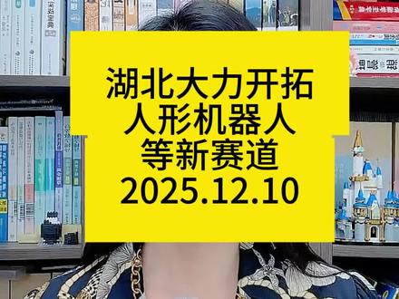 湖北强调大力开拓人形机器人,脑机接口等新领域新赛道#财经